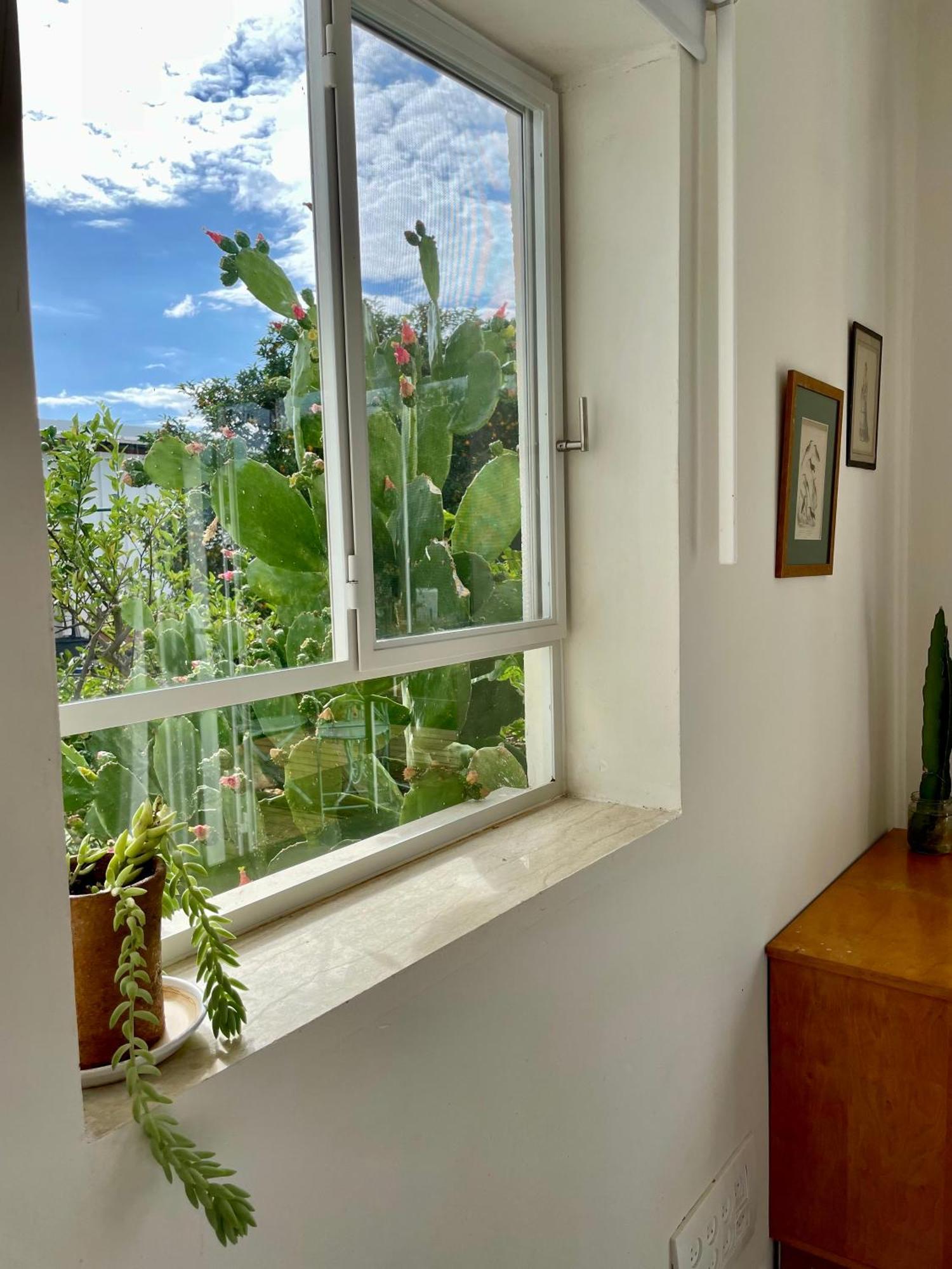 בקתות האס ואטינגר Villa Geva Carmel Exterior photo
